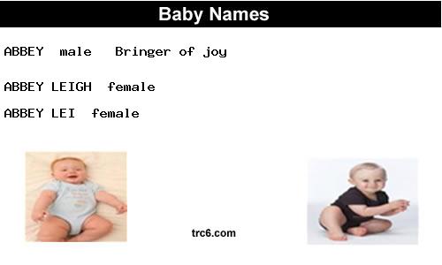 abbey-leigh baby names